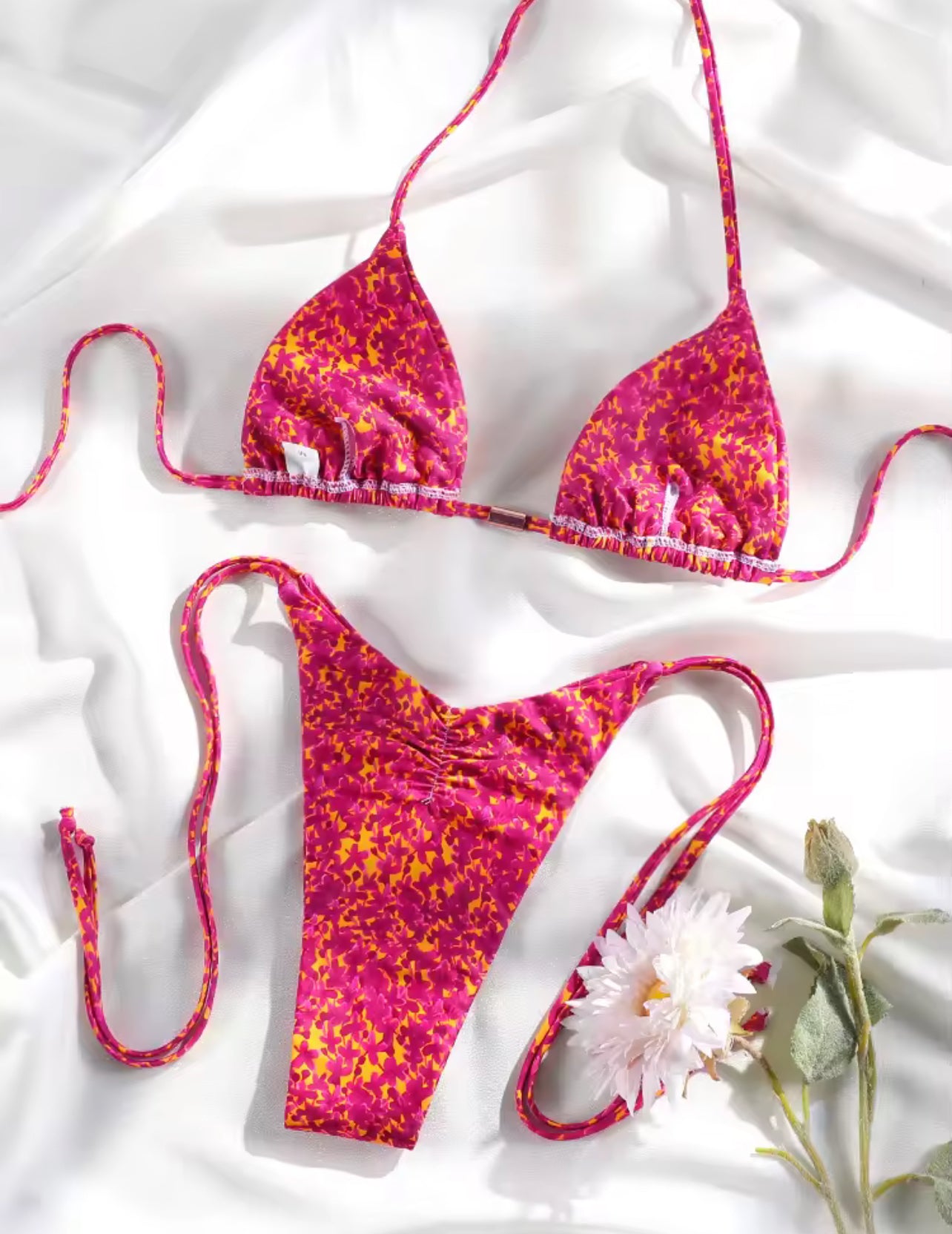 HIBISCUS